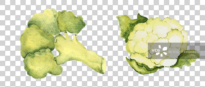 西兰花和花椰菜图片素材