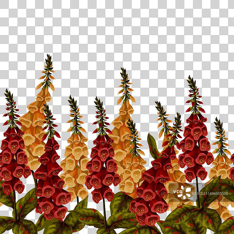 毛地黄花边框图片素材