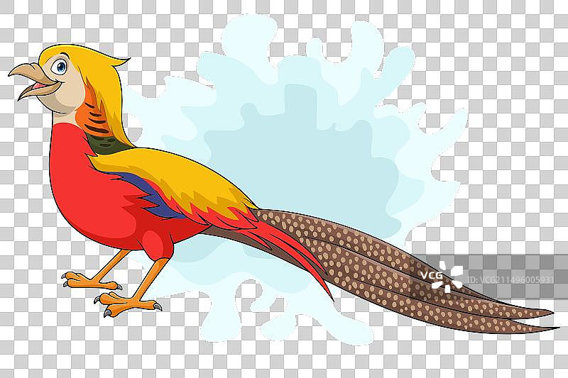 白色背景上的卡通金鸡鸟图片素材