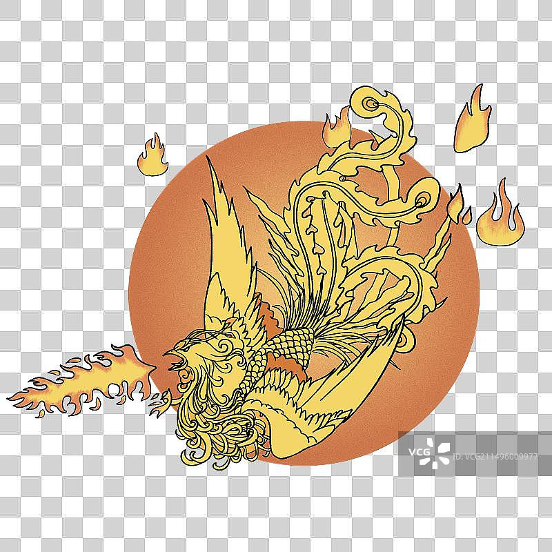 凤凰插画手绘图片素材