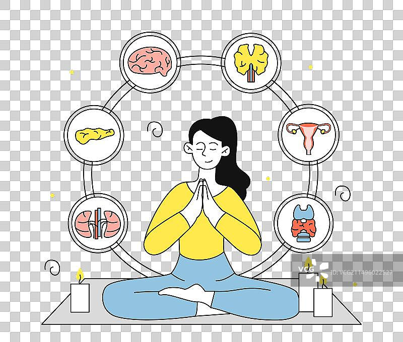 内分泌系统器官线性图图片素材