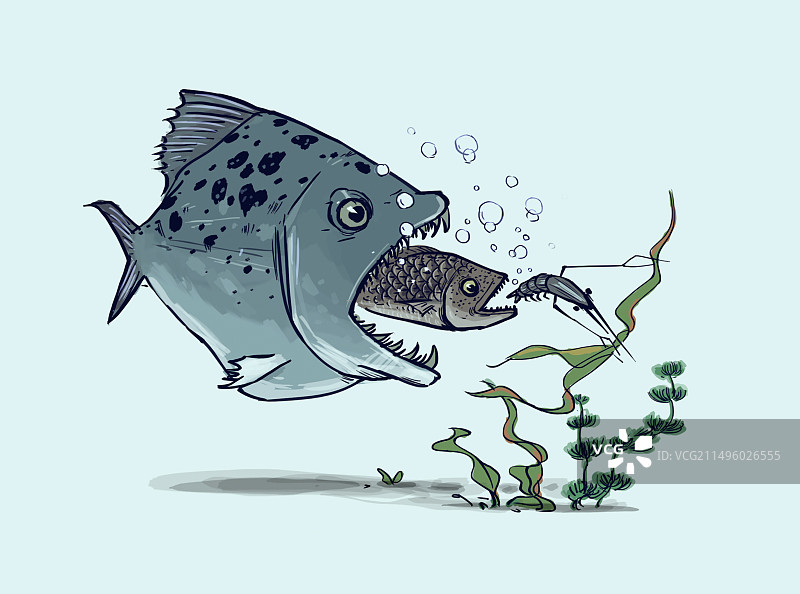 大鱼吃小鱼图片素材
