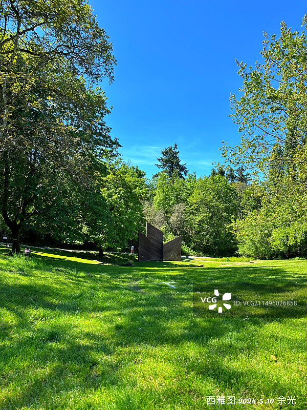 西雅图默瑟岛鲁特伯班克公园草坪。图片素材