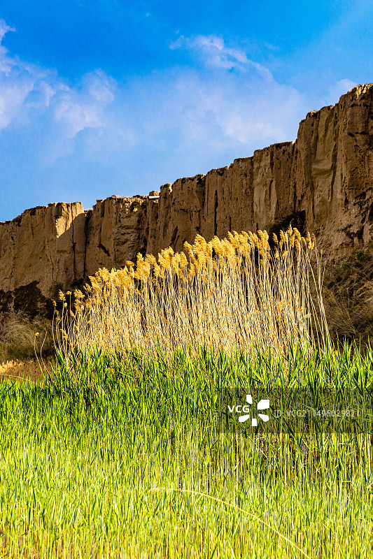宁夏水洞沟旅游风景区的芦花谷风景图片素材