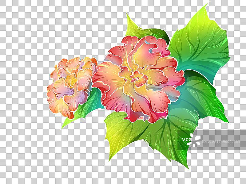 国潮花卉之木芙蓉图片素材