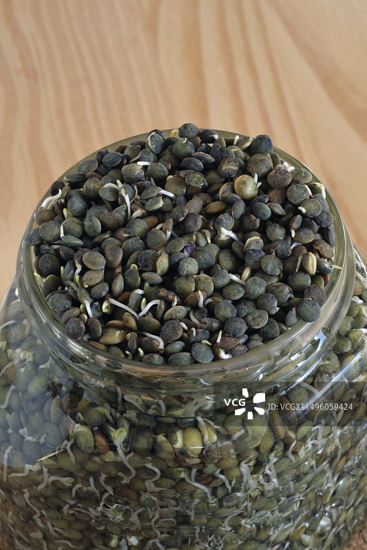 绿扁豆在萌发，烹饪，厨房，法国图片素材