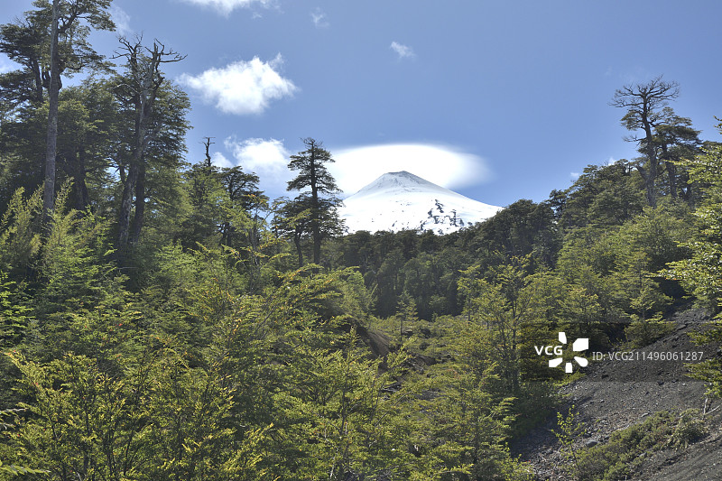 智利阿劳卡尼亚地区比利亚里卡国家公园的比利亚里卡火山图片素材