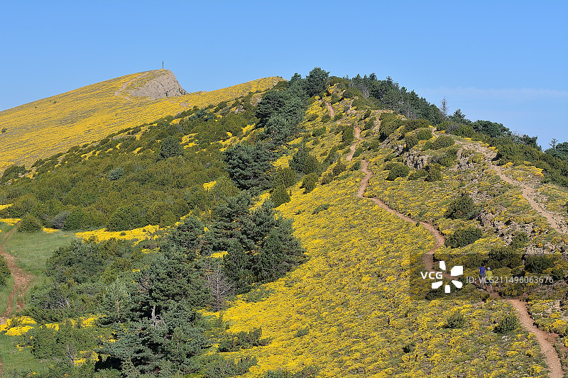在西班牙阿拉贡比利牛斯山脉哈卡，奥罗尔山佩尼亚赏花徒步旅行图片素材