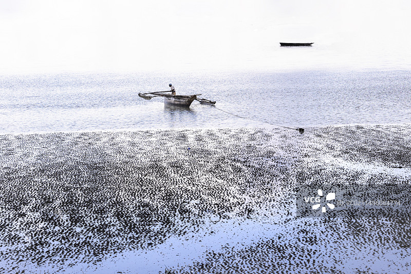 渔夫从坦桑尼亚桑给巴尔东海岸的单桅帆船上捕鱼归来图片素材