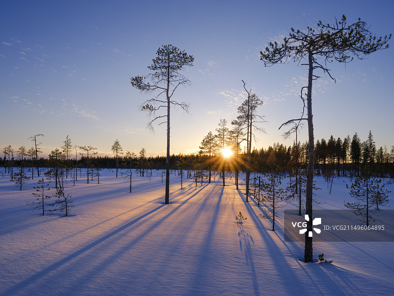 芬兰拉普兰奥兰卡国家公园的冬季图片素材