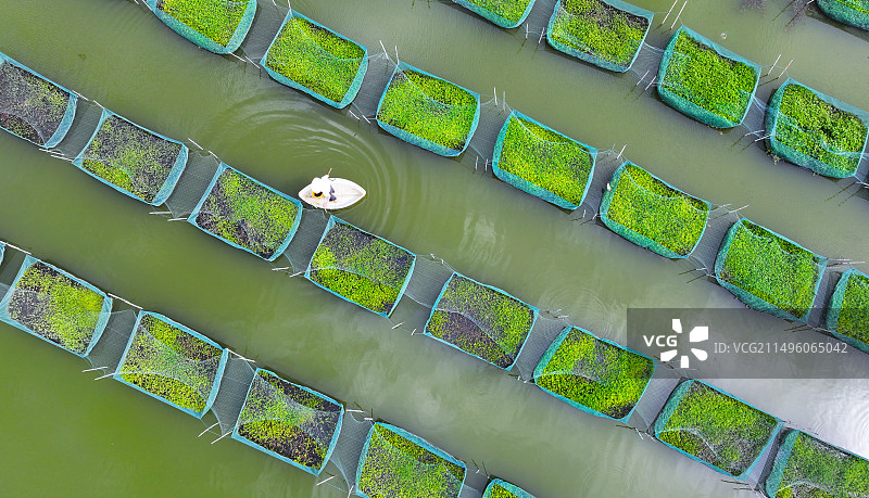 科技养殖助农增收图片素材