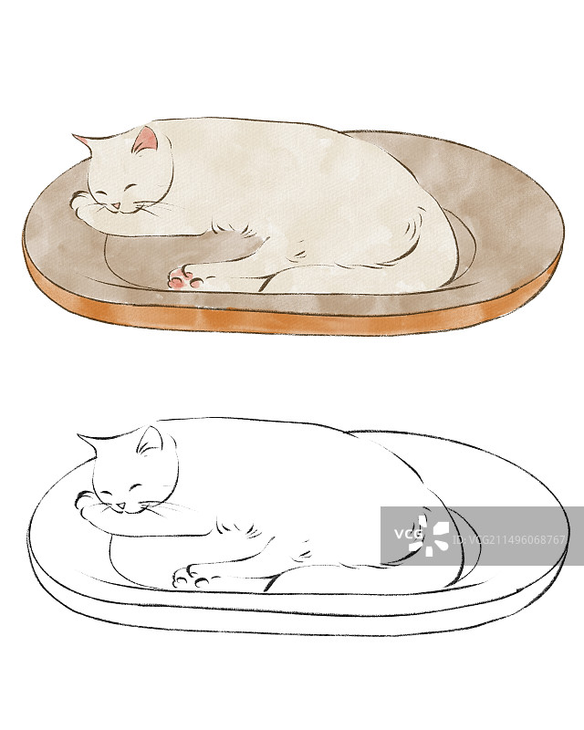 睡觉的猫手绘插画图片素材