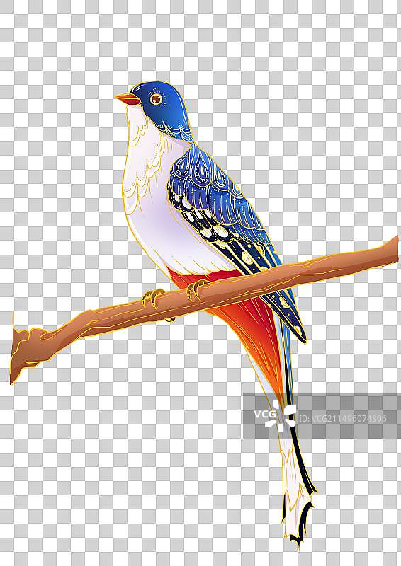 中国风动物鸟咬鹃图片素材