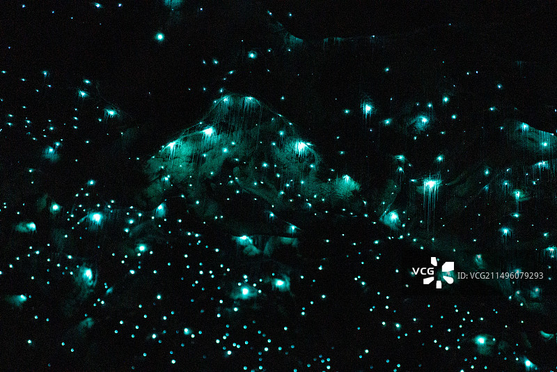 怀托摩萤火虫洞图片素材