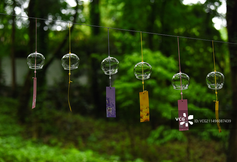 夏天时光绿色森林中的玻璃风铃特写图片素材