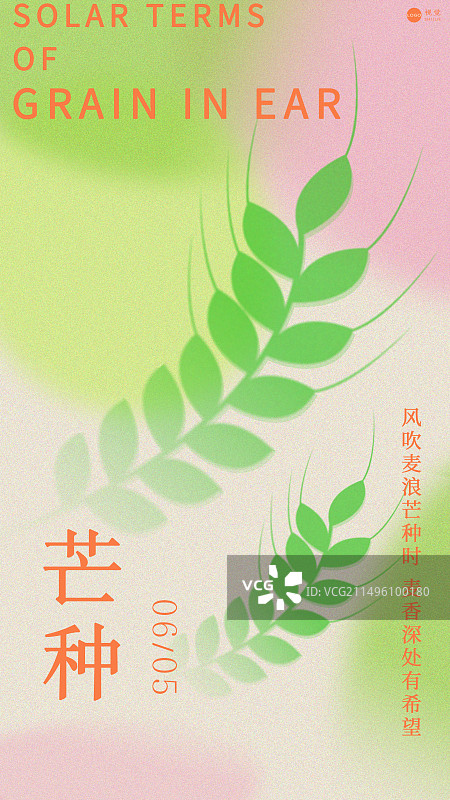 二十四节气芒种海报设计模版图片素材