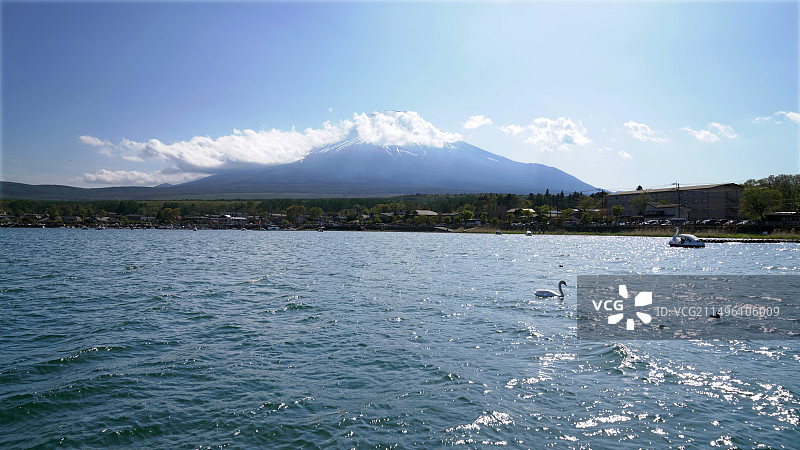 天鹅湖图片素材