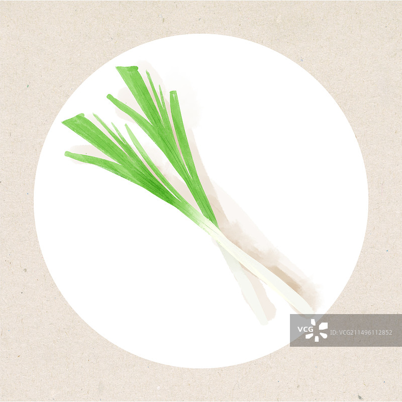 葱水彩插画蔬菜素材图片素材