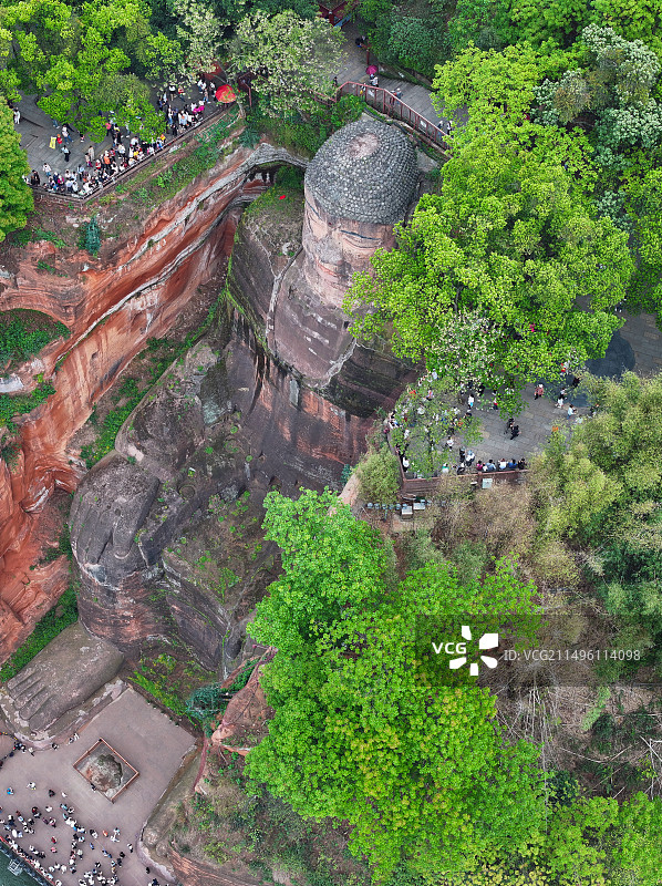 四川省乐山市世界文化自然遗产乐山大佛航拍图片素材