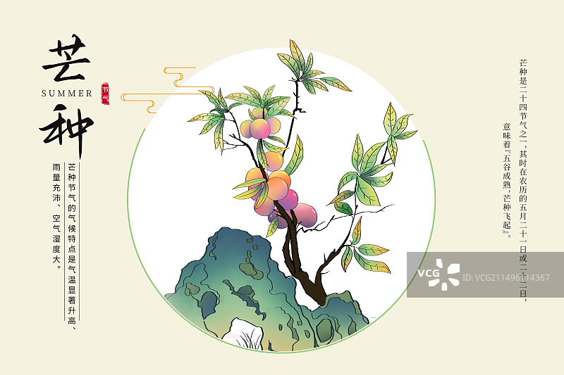 中国风二十四节气系列插画海报模版-夏天 工笔写意画 假山旁边的李子树插画 横版图片素材