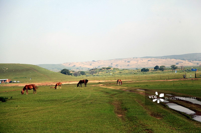 内蒙古正蓝旗的郊外图片素材