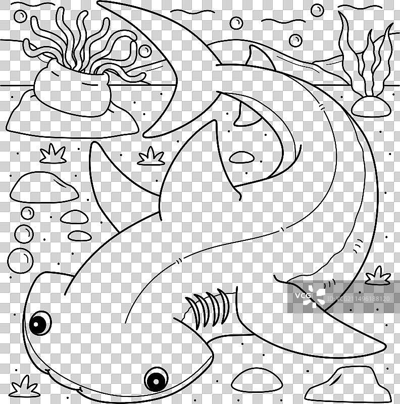 双髻鲨儿童涂色页图片素材