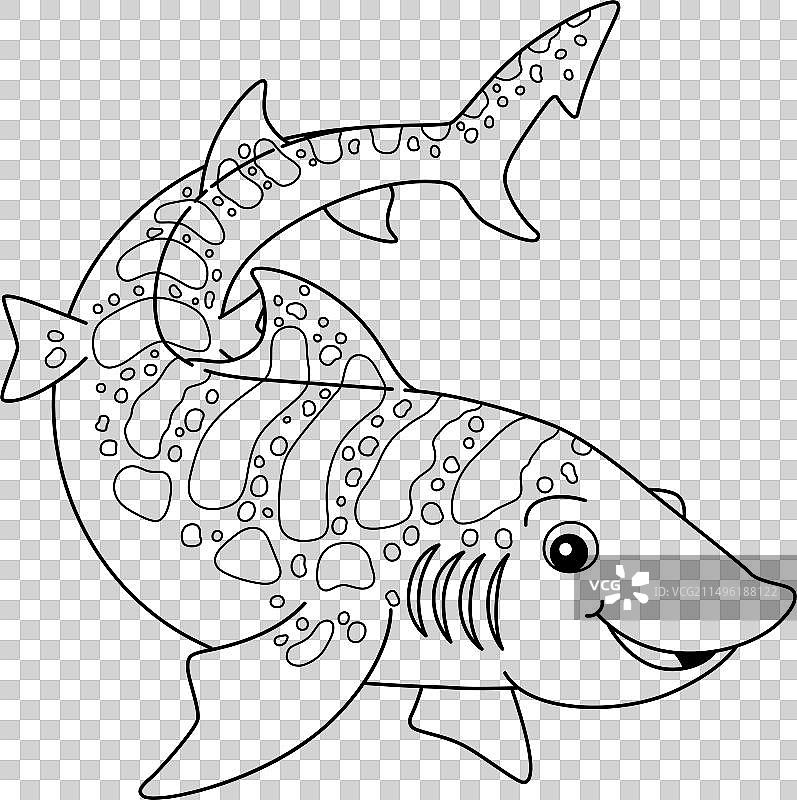 豹纹鲨儿童涂色页图片素材