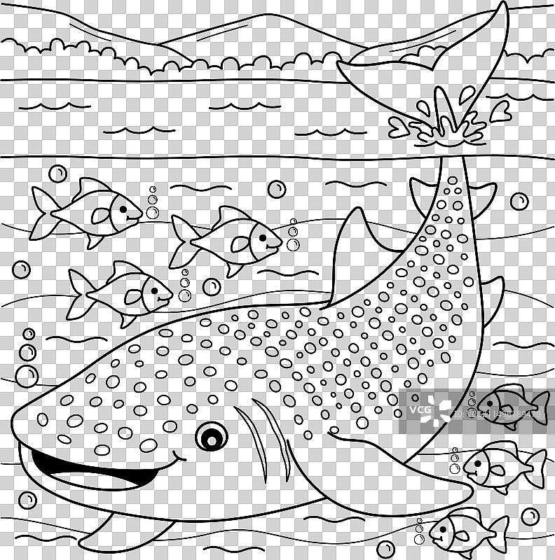 儿童鲸鲨涂色页图片素材