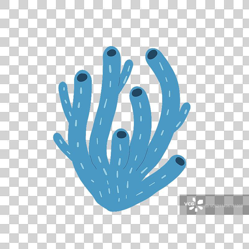 白色背景上的珊瑚礁图片素材