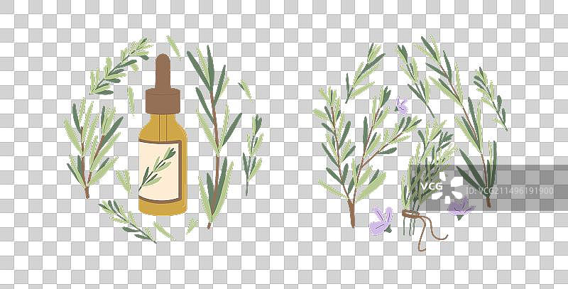 迷迭香精油圆形标志合集图片素材