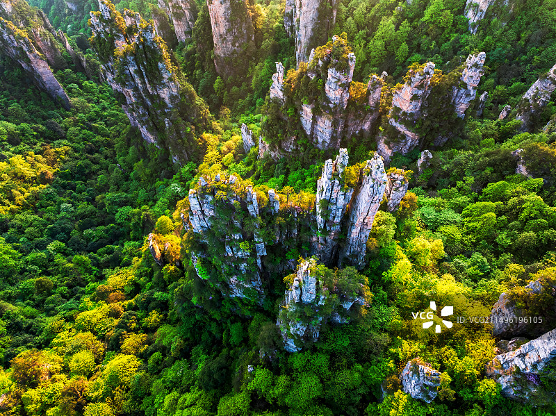 神奇峰石满园春——天子山御笔峰（航拍）图片素材
