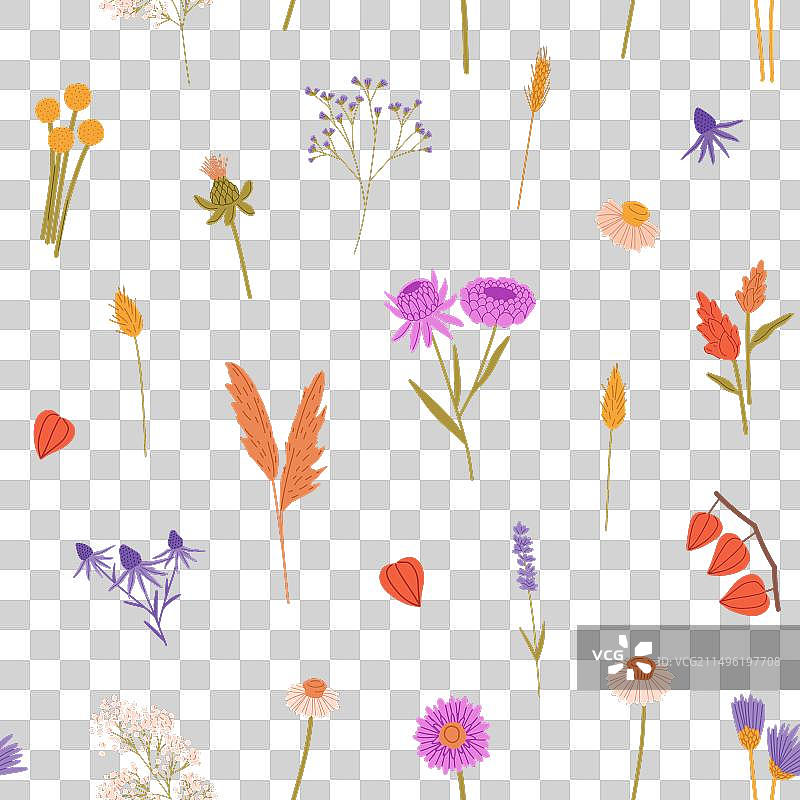 草地花卉图案图片素材