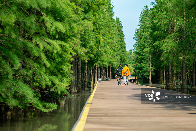 西沙明珠湖景区图片素材