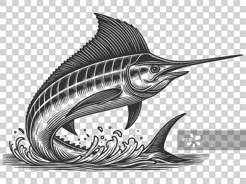 旗鱼蓝枪鱼雕刻图片素材