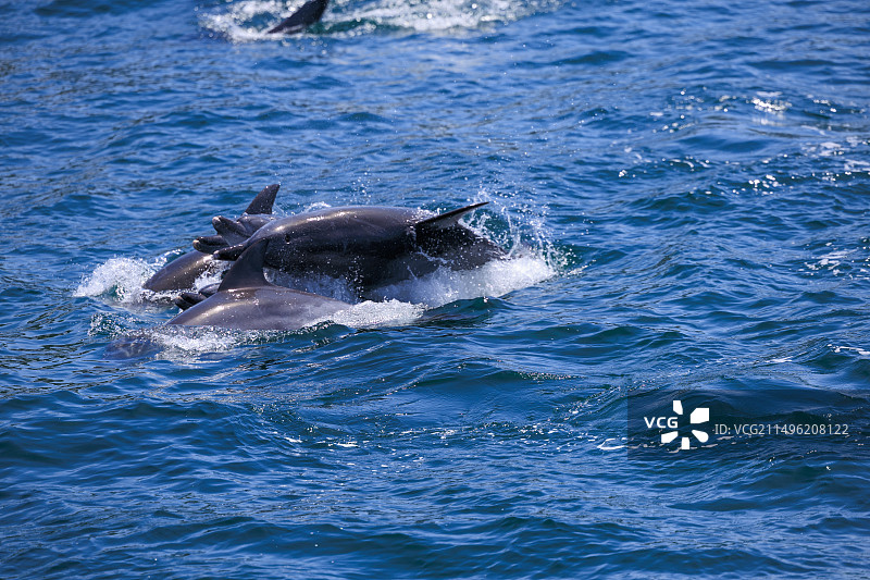 日本风光图片素材