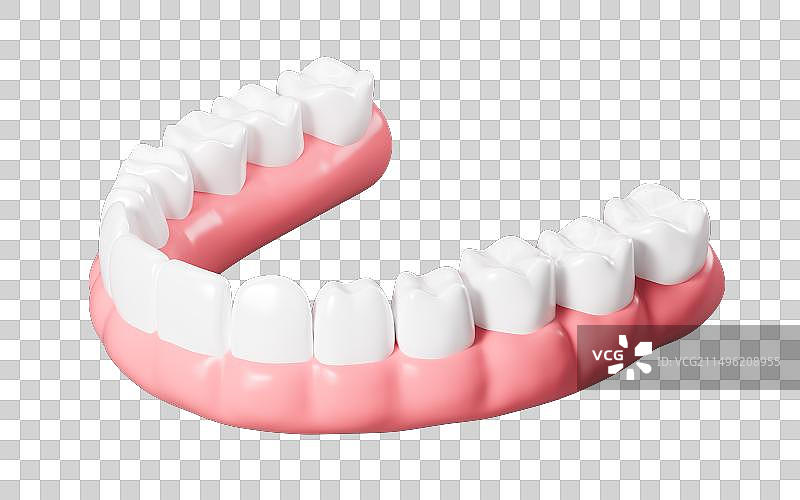 人类牙齿模型3D渲染图片素材