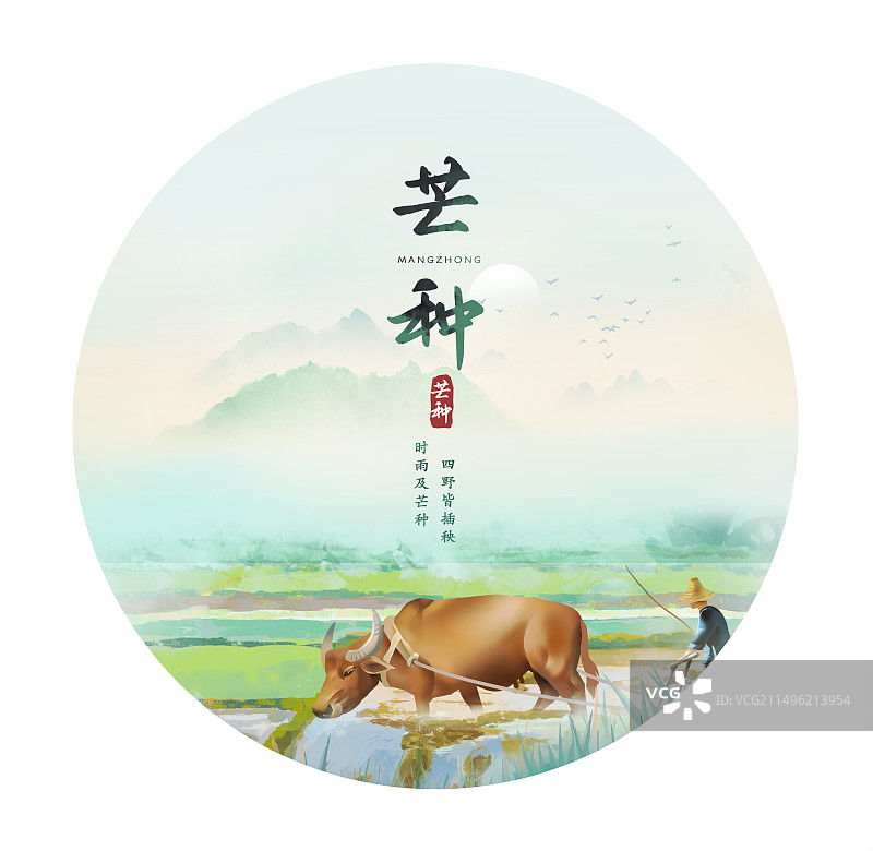手绘芒种圆形插画海报背景图片素材