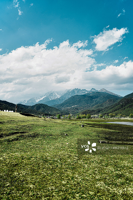 草地和雪山图片素材