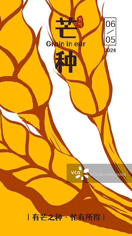 芒种麦穗手机海报—有芒之种 忙有所得图片素材