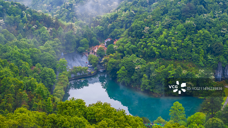 江西峡江：玉笥山油桐花开 美如画图片素材