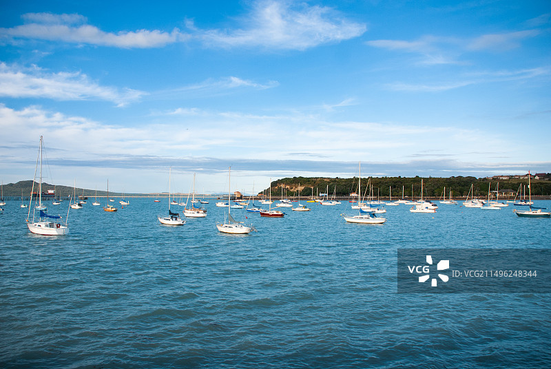 新西兰：奥克兰爱情海湾游艇码头图片素材