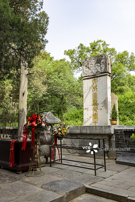 山东省济宁市曲阜市孔林景区图片素材