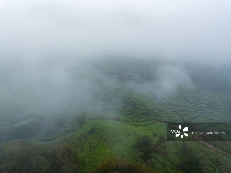 清明时节，云雾中的婺源图片素材