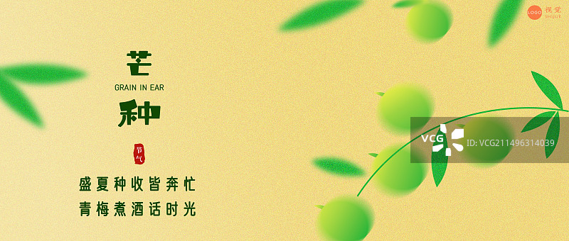 二十四节气芒种海报设计模版图片素材