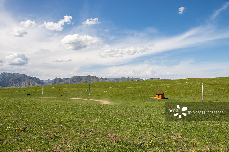 桑科草原图片素材