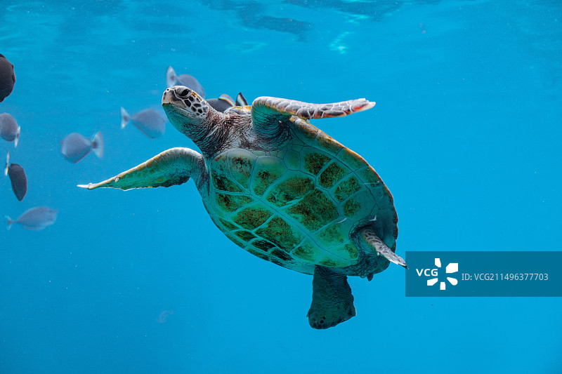 大海的馈赠图片素材