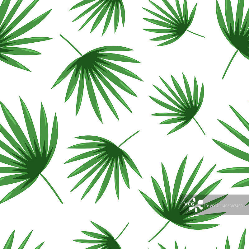 棕竹叶子图片素材