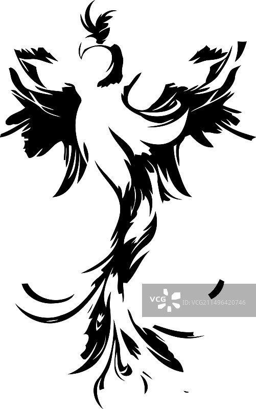 纹身风格的公鸡图案图片素材