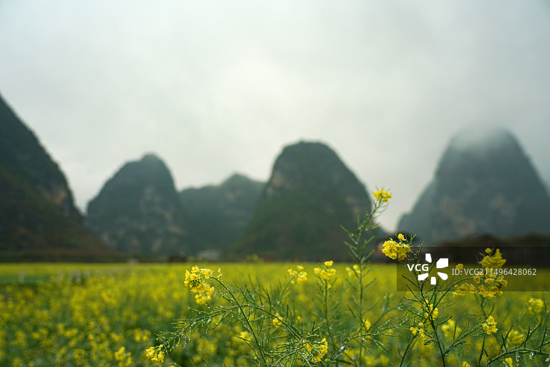 靖西市旧州古镇图片素材