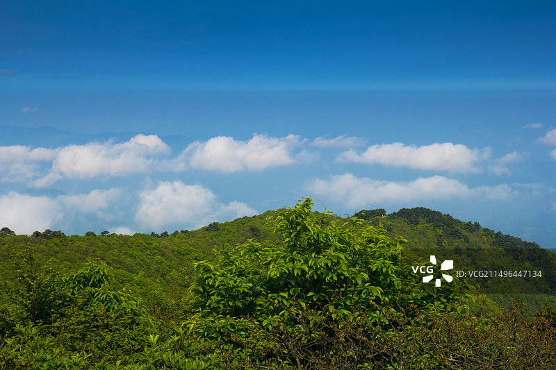 绿色天目山，康养新圣地图片素材